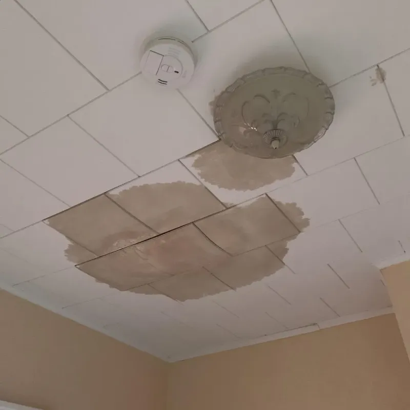 Ceiling Water Damage Repair in Colfax County, NE