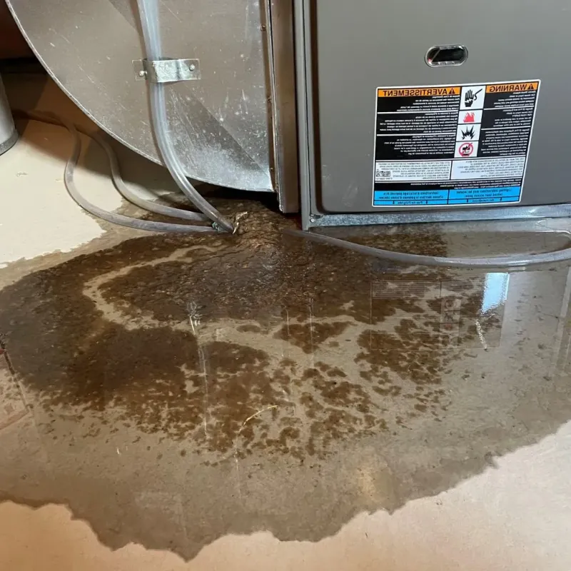 Pipe Burst and Leak Restoration in Colfax County, NE